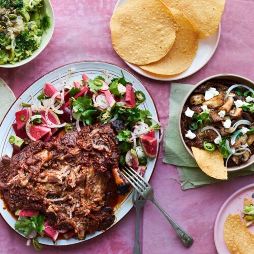 Lamb Barbacoa bitScry