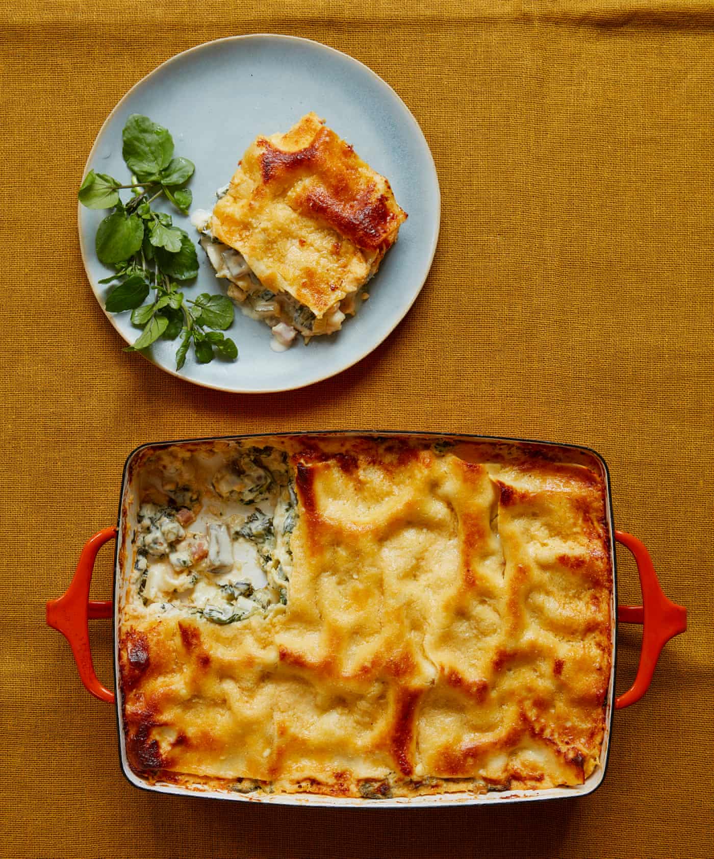 Swiss Chard, Pancetta, Leek and Ricotta Lasagne bitScry